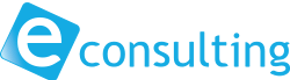 E Consulting